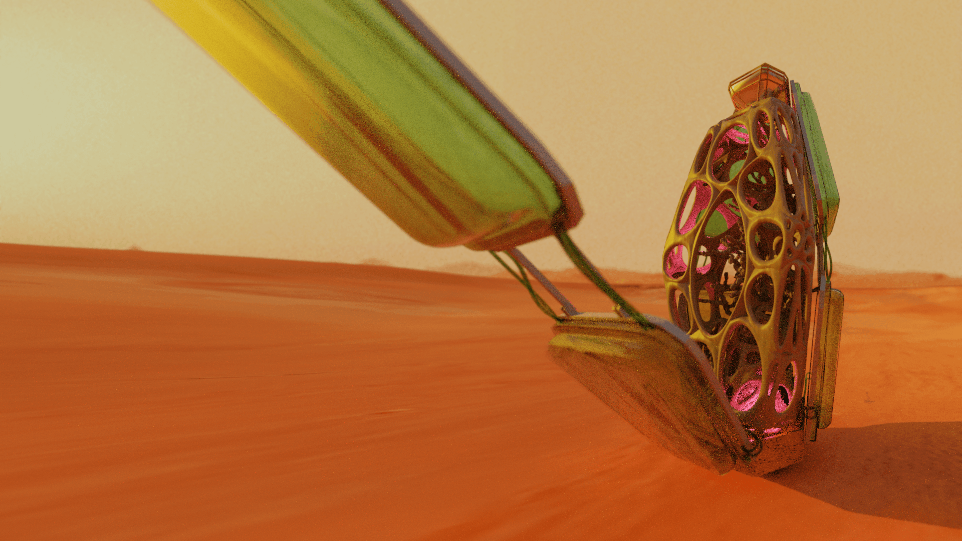 Is It To Your Lichen?